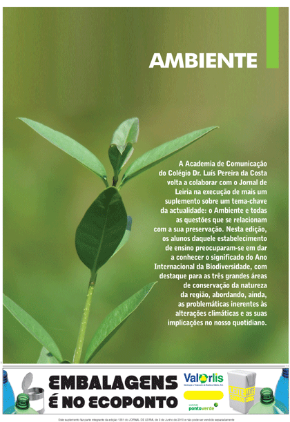 Ambiente