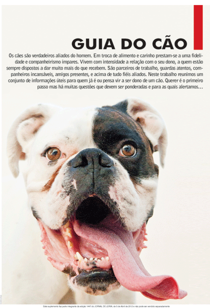 Guia do Cão
