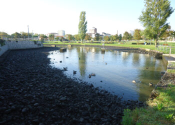 Lago do Parque da Cerca da Marinha Grande vandalizado por desconhecidos