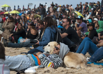 Mundial de surf em Peniche só deverá começar na sexta-feira