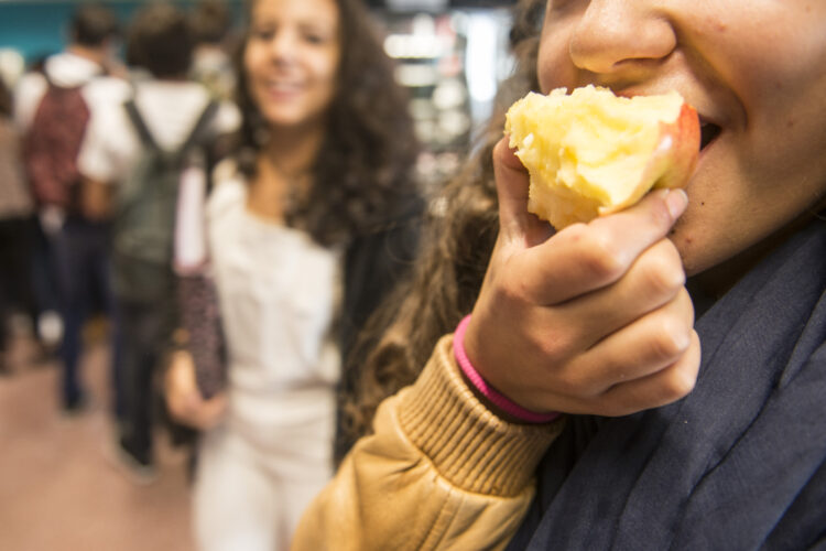 Programa de Educação Alimentar e Vida Saudável abrange 6.000 alunos de Leiria