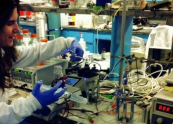 A engenheira química que vende pastéis de nata em Nova Iorque
