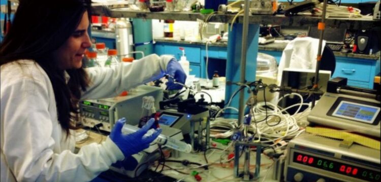 A engenheira química que vende pastéis de nata em Nova Iorque