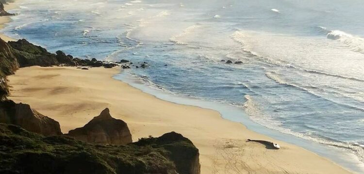 Baleia deu à costa na praia do Vale Furado
