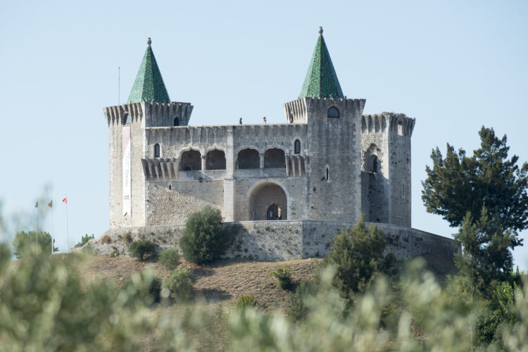 Castelo abre portas a ‘casamentos de fadas’
