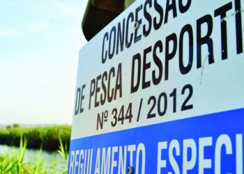 Danos na pista de pesca do Lis inviabilizam provas nacionais