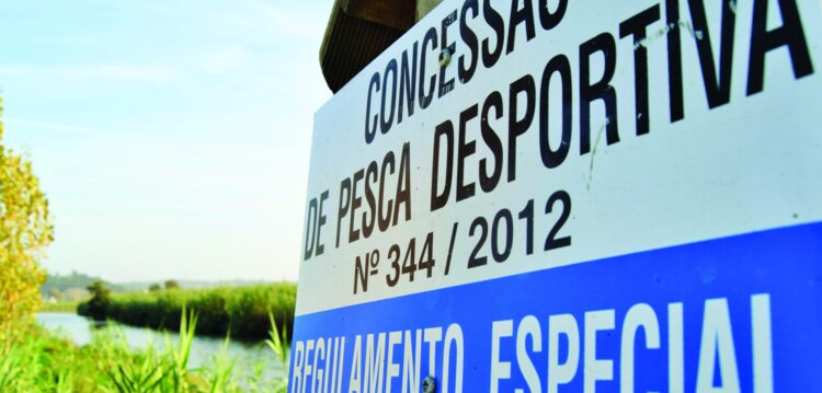 Danos na pista de pesca do Lis inviabilizam provas nacionais