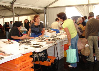 Definidos horários para Mercado Municipal da Marinha Grande