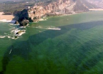 Filme “Nazaré – Entre a Terra e o Mar” mostra a Nazaré em três minutos de fazerem perder a respiração