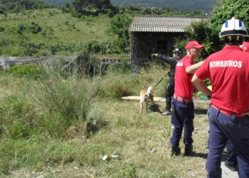 GNR suspende buscas de idoso desaparecido