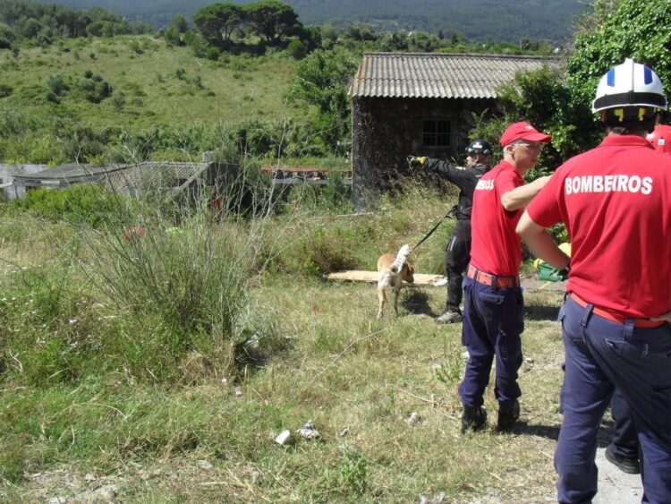 GNR suspende buscas de idoso desaparecido