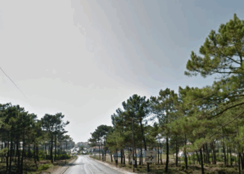 Oitocentos mil euros ligam vila e praia da Vieira