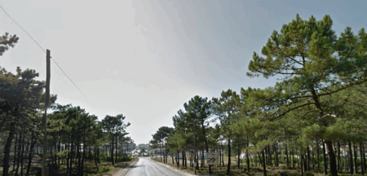 Oitocentos mil euros ligam vila e praia da Vieira