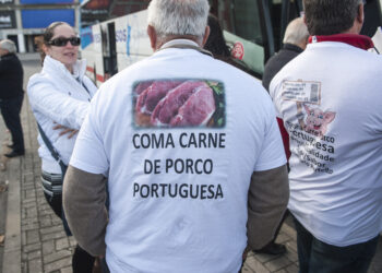 Suinicultores apelam ao consumo de carne de porco nacional