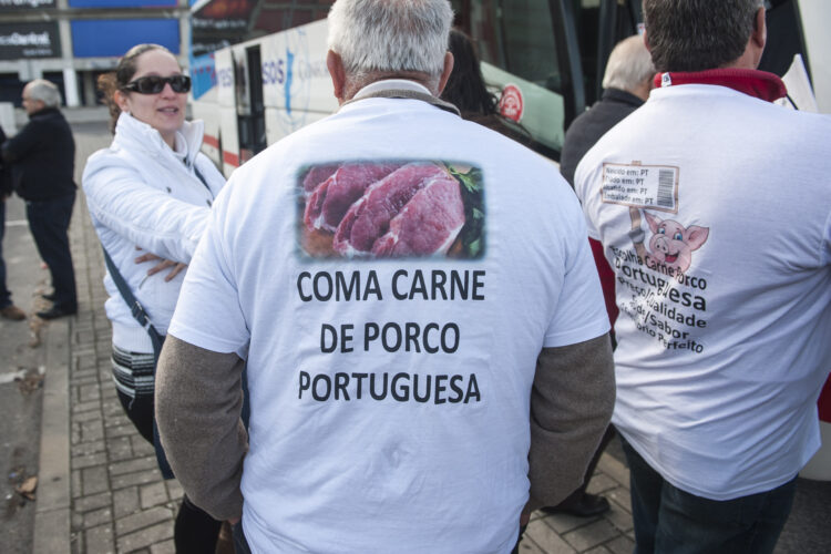 Suinicultores apelam ao consumo de carne de porco nacional