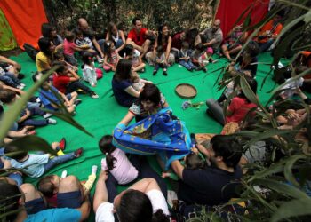 Ministério da Agricultura proíbe o festival que embala crianças e passeia alfaces em carrinhos de bebé