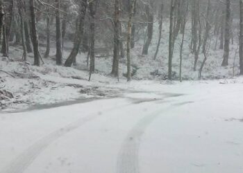 Neve caiu hoje no norte do distrito de Leiria