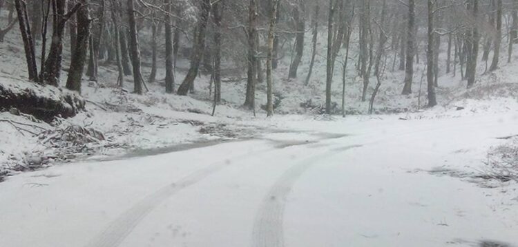 Neve caiu hoje no norte do distrito de Leiria