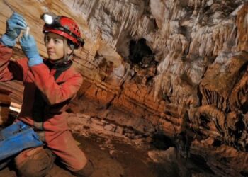 Os animais milimétricos que habitam as nossas grutas