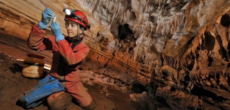 Os animais milimétricos que habitam as nossas grutas