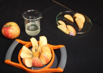 Alga substitui aditivos químicos na conservação de alimentos