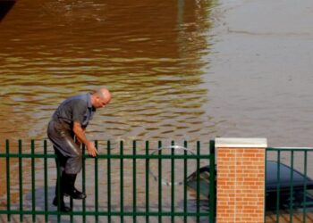 Desassoreamento do Lis avança até ao Verão para tentar travar cheias