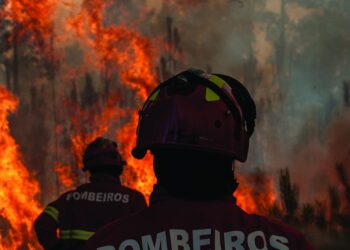 GNR vai fiscalizar limpeza de terrenos em Porto de Mós