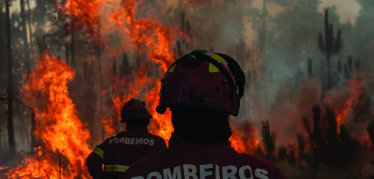 GNR vai fiscalizar limpeza de terrenos em Porto de Mós