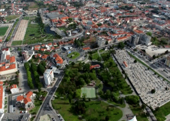 Marinha Grande a partir do ponto de vista das gaivotas