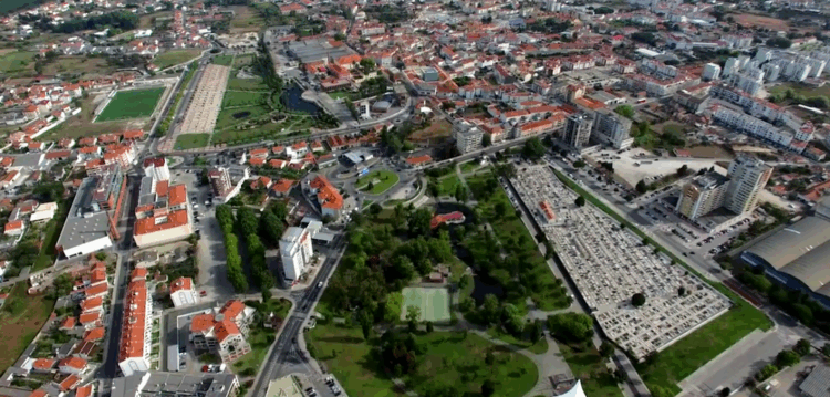 Marinha Grande a partir do ponto de vista das gaivotas