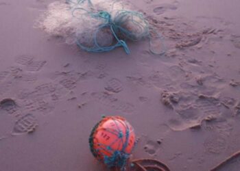 Polícia Marítima fiscaliza pesca com majoeiras na Praia da Vieira