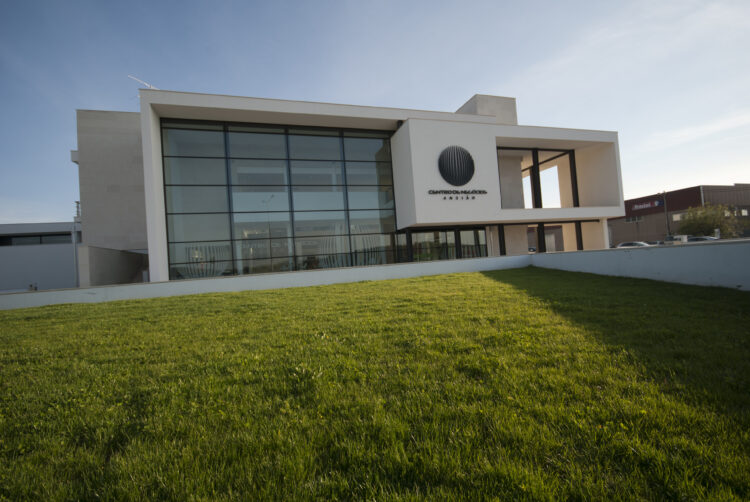 A13 aproximou clientes das empresas do Norte do distrito