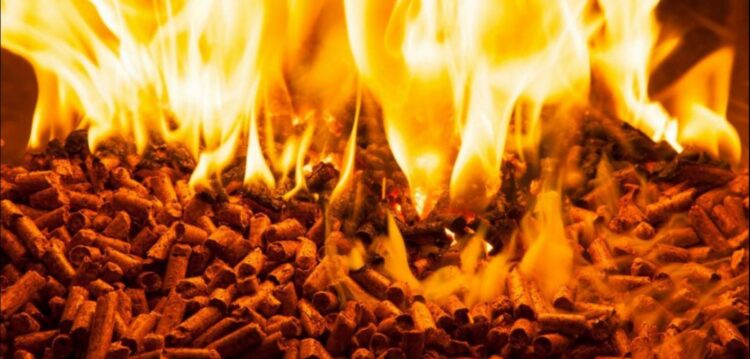 Em casa a bater o dente? Temos dicas para si