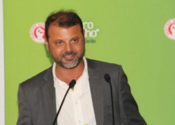 Estatutos forçam Daniel Adrião a concorrer a líder do PS