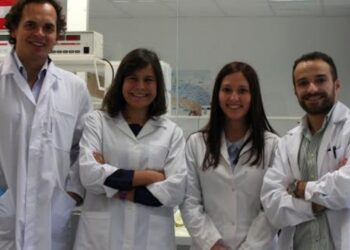 Fábio Roque descobre origem de células estaminais sanguíneas