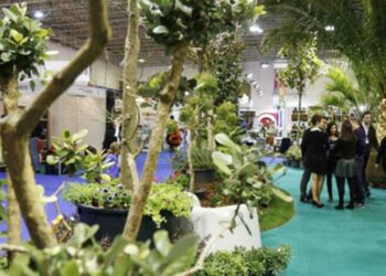 Feira na Batalha mostra soluções para jardinagem e hortofruticultura