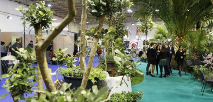Feira na Batalha mostra soluções para jardinagem e hortofruticultura