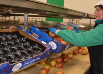 Frutalvor investe 2,5 milhões de euros para duplicar capacidade de frio