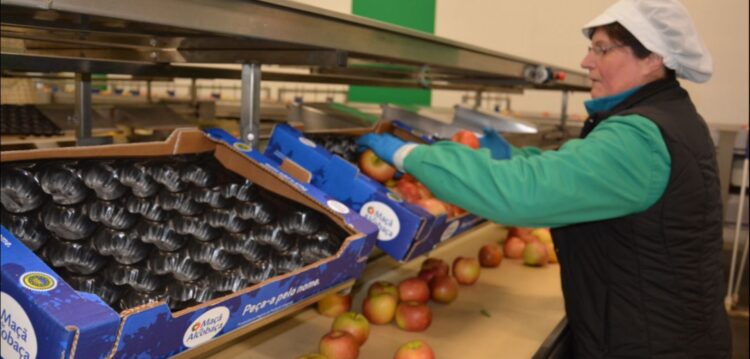 Frutalvor investe 2,5 milhões de euros para duplicar capacidade de frio