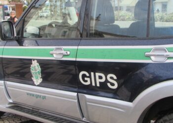 GIPS de Pombal fiscalizam terrenos com vista a prevenção de incêndios