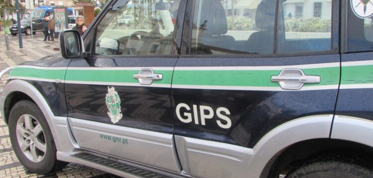 GIPS de Pombal fiscalizam terrenos com vista a prevenção de incêndios