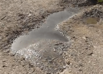 Misericórdia de Alvorge acusada de poluir terrenos adjacentes