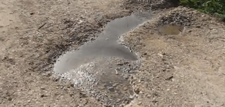 Misericórdia de Alvorge acusada de poluir terrenos adjacentes