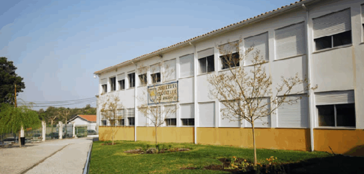 Projecto Vidrex foi o vencedor do Concurso Municipal de Ideias