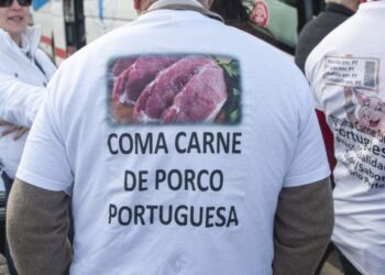 Suinicultores poderão pagar menos Segurança Social