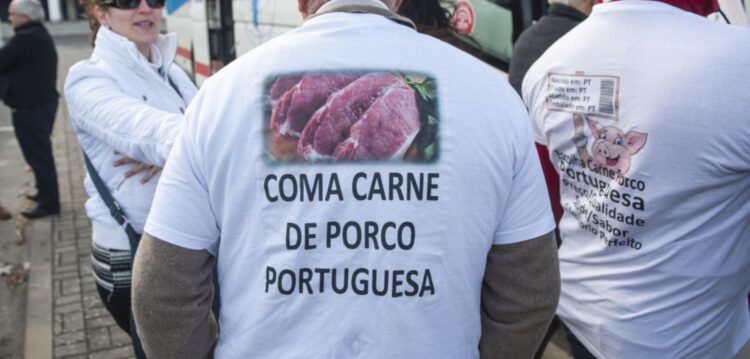 Suinicultores poderão pagar menos Segurança Social