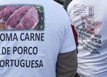 Tensão em protesto de suinicultores na capital
