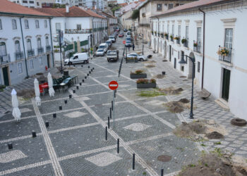 Câmara de Leiria invoca segurança para cortar 40 laranjeiras no Terreiro
