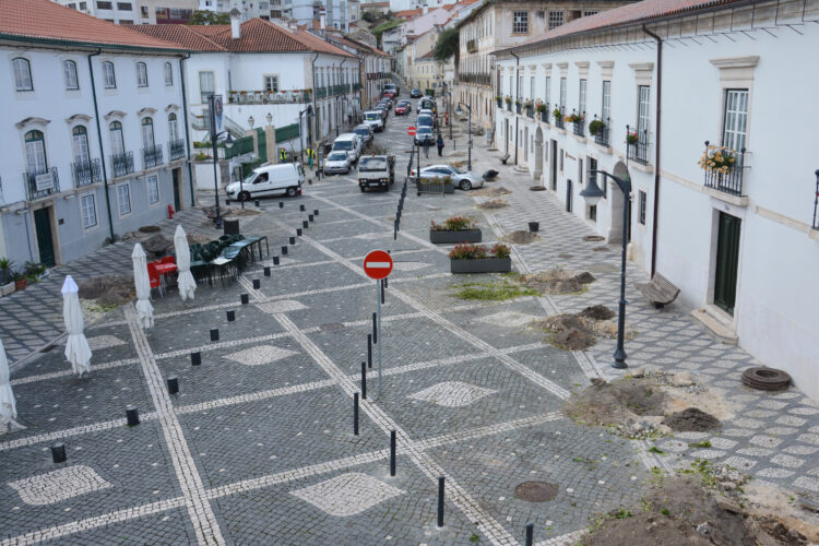 Câmara de Leiria invoca segurança para cortar 40 laranjeiras no Terreiro