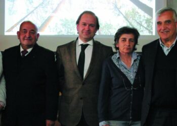 Cluster da floresta reunido em Pombal